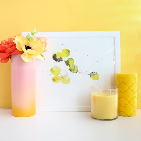 Gradient Ombre Flower Vase
