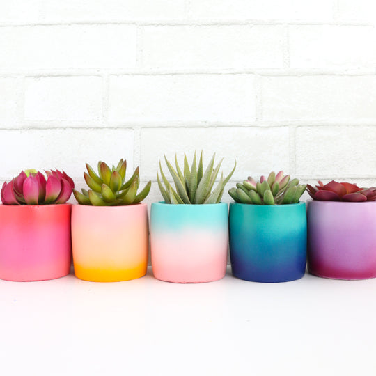 Gradient Cement Planter (Small)