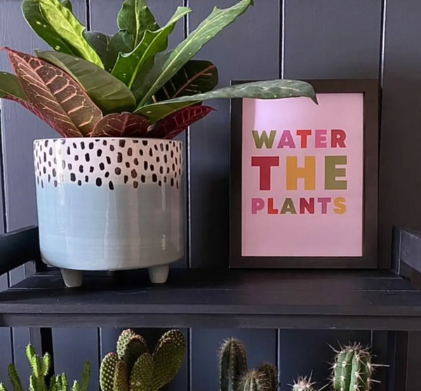 Water the Plants Art Print 8x10